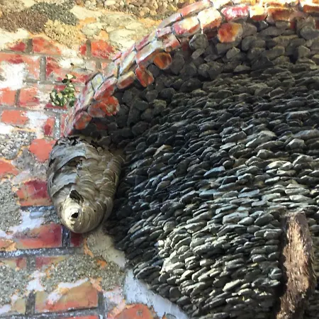 Ferienhaus Casa Toscana *